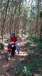 riding through the rubber trees
